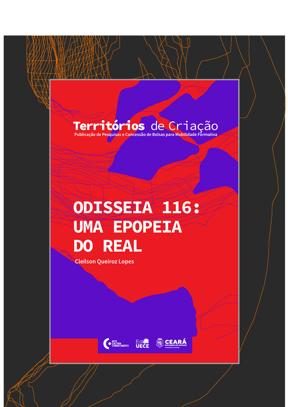 Capa Livro 11