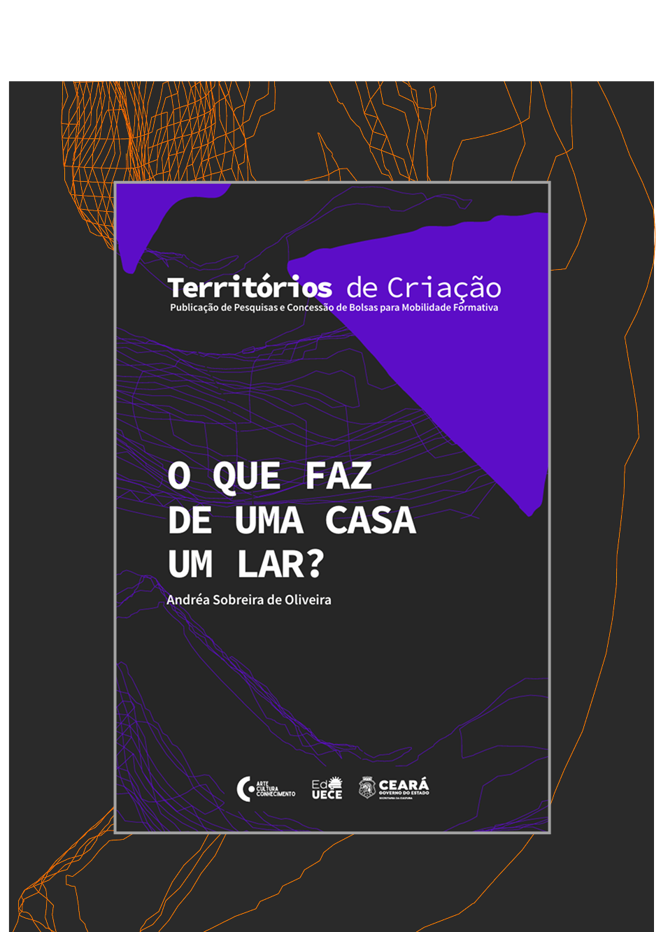 Capa Livro 13