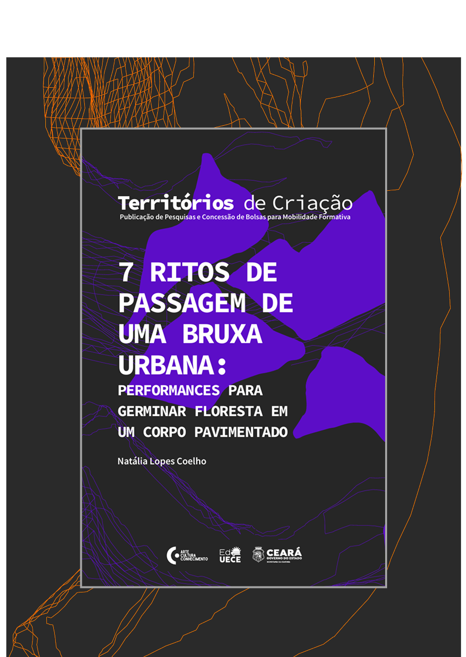 Capa Livro 15